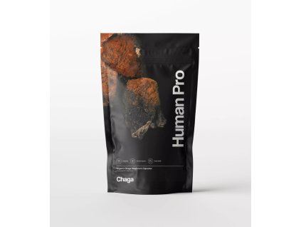 HP mockup Chaga front.jpg 2