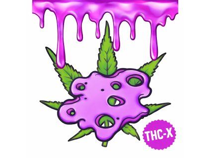 THC X sýr s konopím
