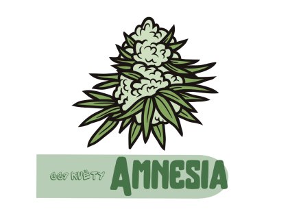 CC9 květy Amnesia