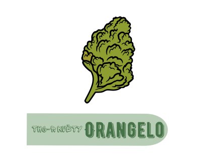 květy THC R Orangelo