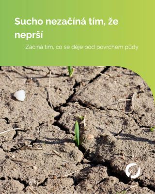 Většina lidí si představí sucho jako prázdné koryto řeky nebo prasklou hlínu. Ale sucho začíná dřív — ve chvíli, kdy půda...