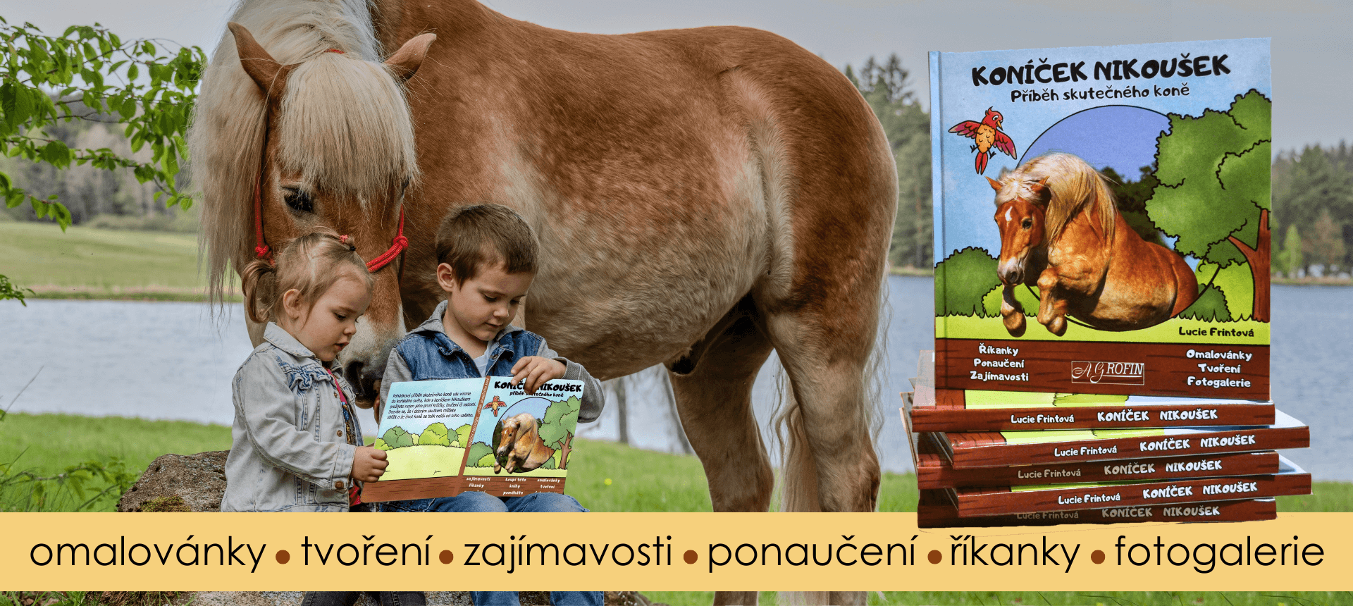 Koníček Nikoušek
