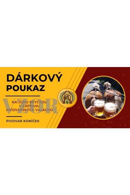 Poukaz "Jízda kočárem"