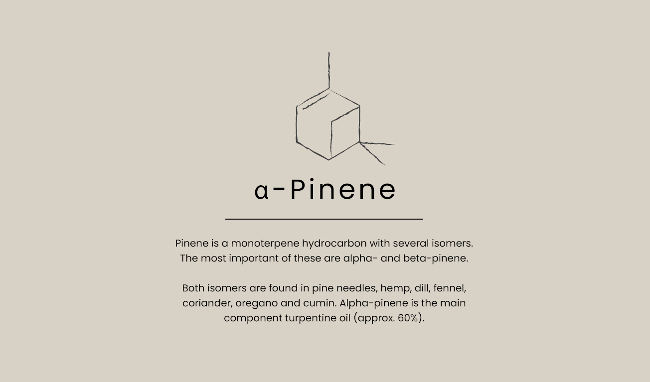 a-pinene-text-EN
