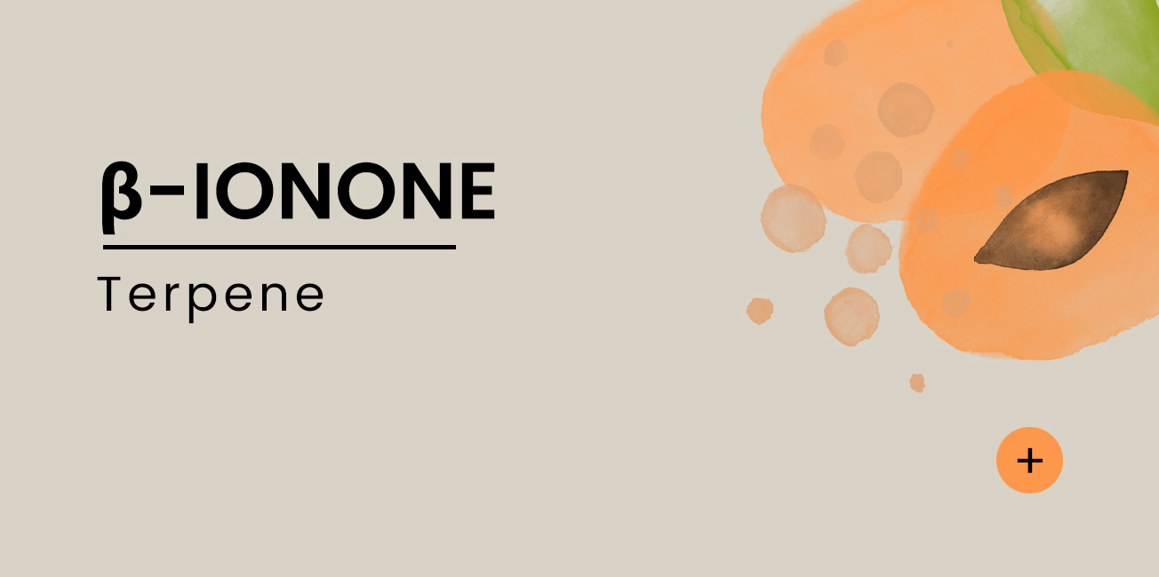 b-ionone-EN