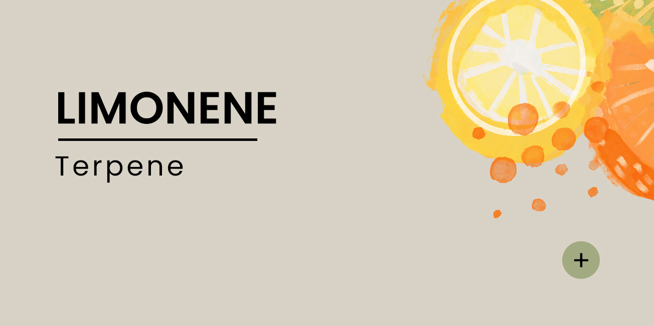 limonene-EN