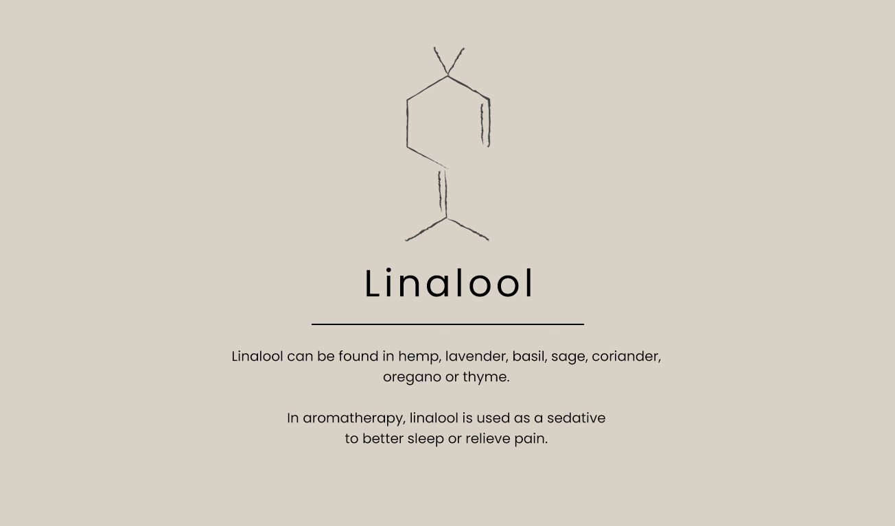 linalool-text-EN