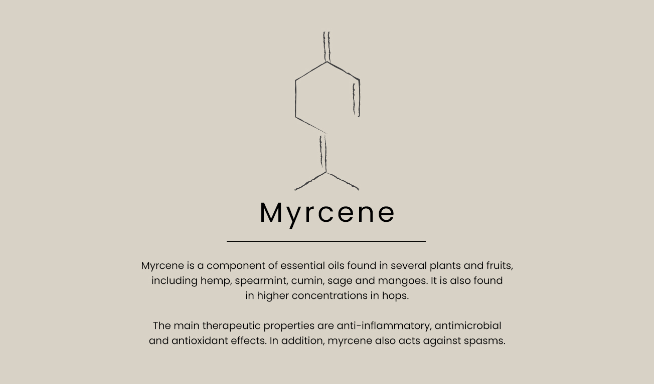 myrcene-text-EN