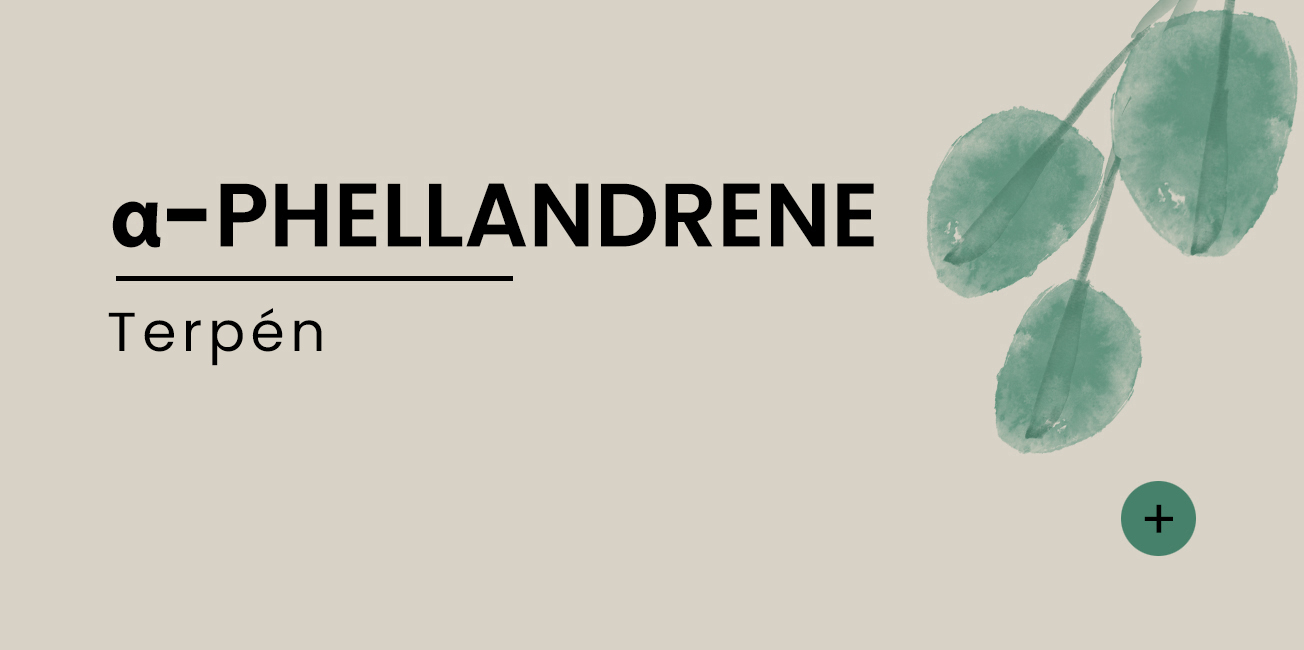 a-pellandrene-SK