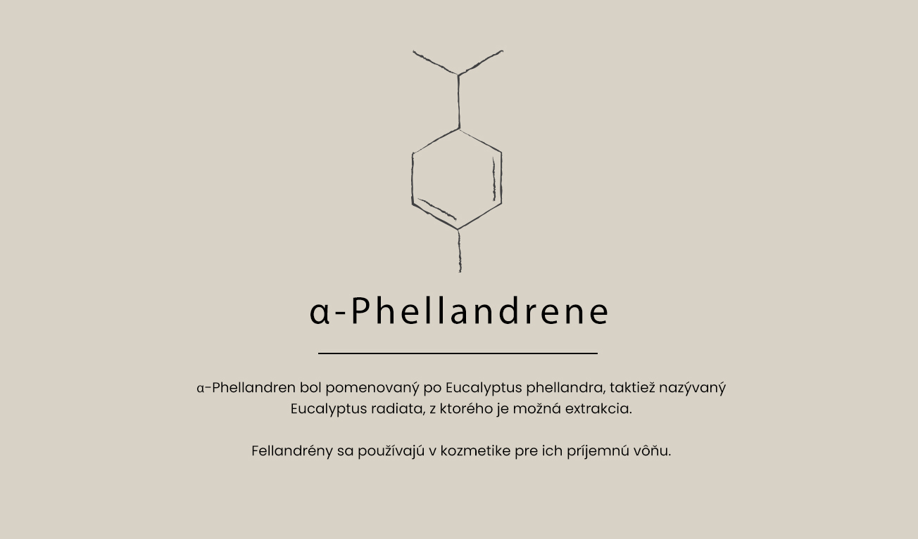 a-phelladrene-text-SK