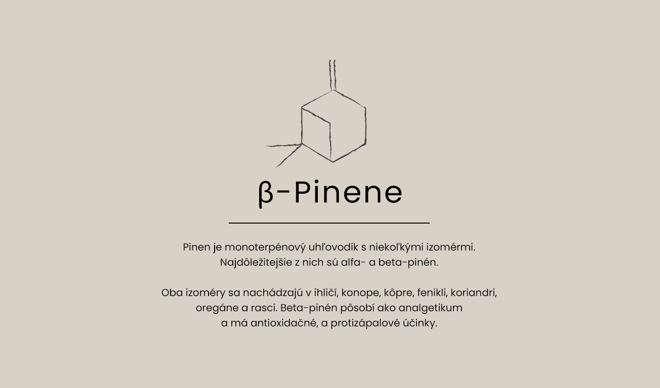 b-pinen-text-SK