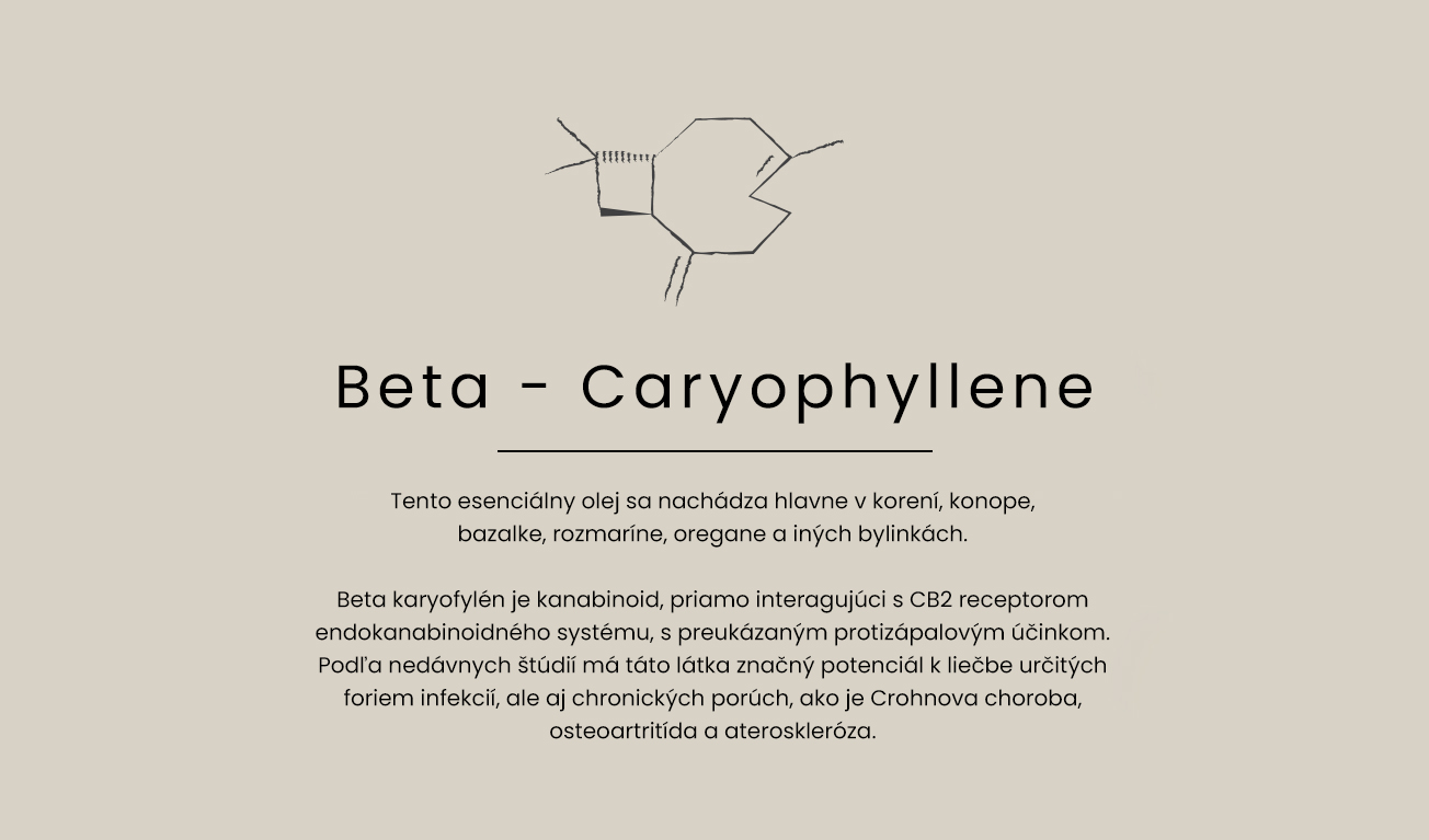 beta-caryophyllene-text-SK