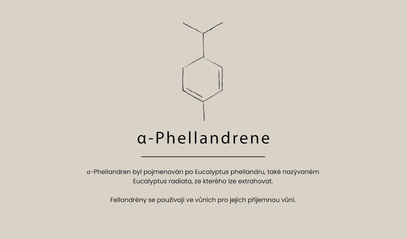 a-phelladrene1