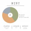 Mint diagram EN