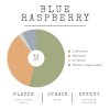 blue raspberry diagram EN