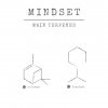 mindset main EN