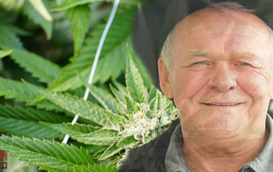 4 proste kroki do zdrowia z konopiami