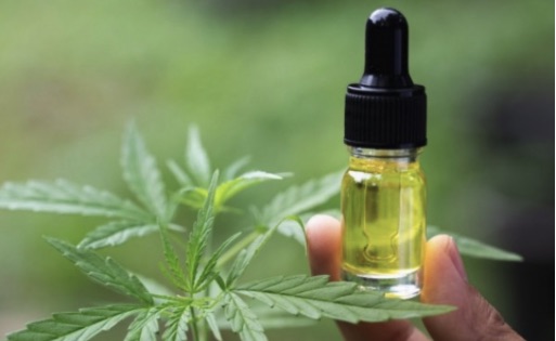 Nie zgadzamy się z propozycją Komisji Europejskiej - zakazem stosowania naturalnego ekstraktu z konopi CBD