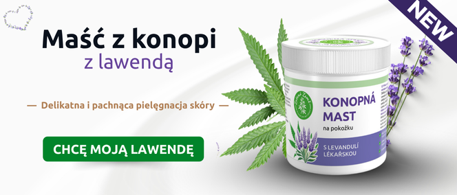 Maść z konopi z lawendą