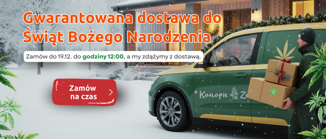 Gwarantowana dostawa do Świąt Bożego Narodzenia