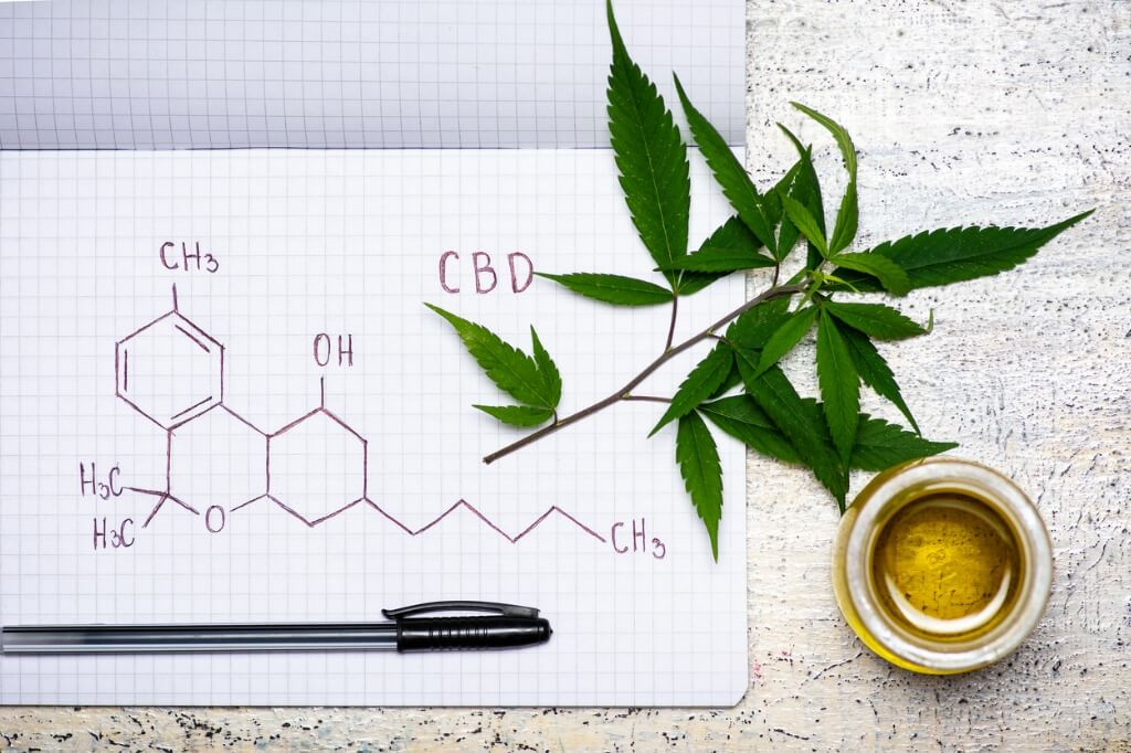 CBD 101 alebo základy CBD