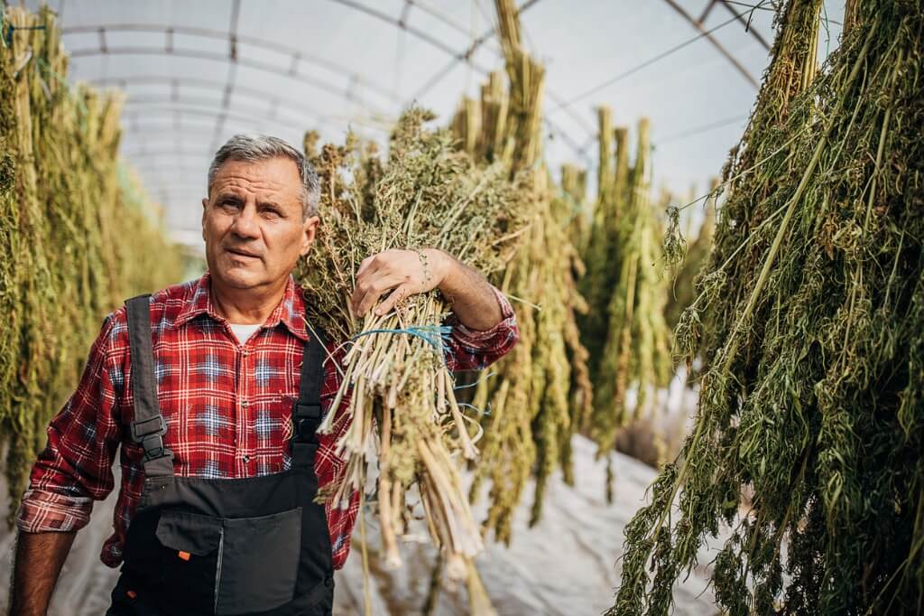 Od taxonómie ku kultivaru