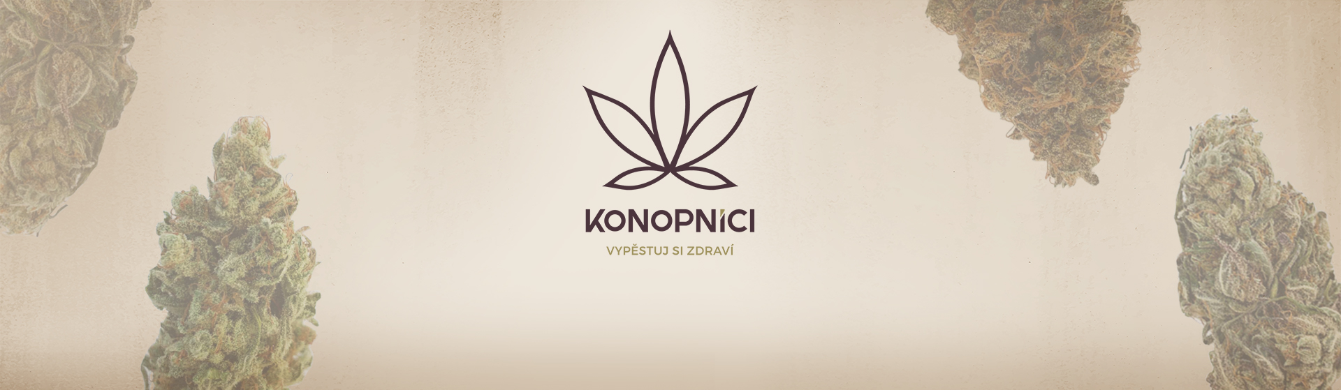 Do domácnosti