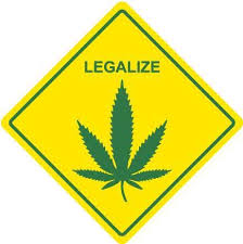 Hlasujte nyní: Souhlasíte s legalizací konopí s regulovaným prodejem?