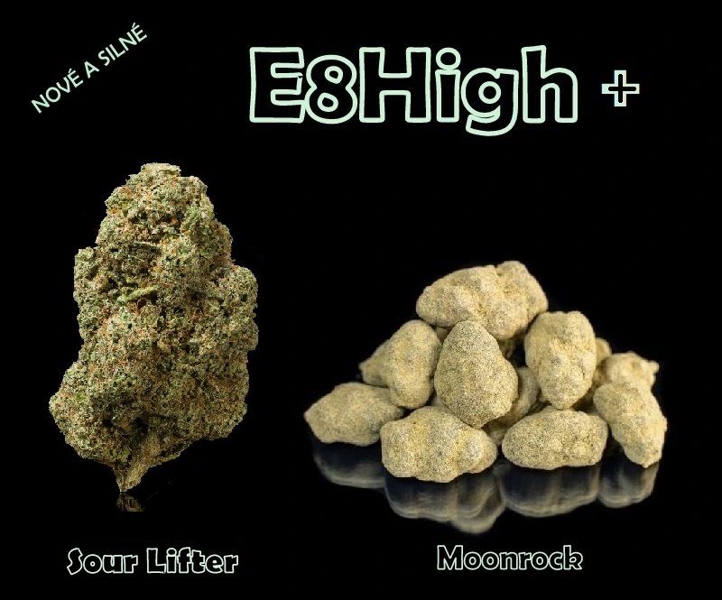 E8H new mob