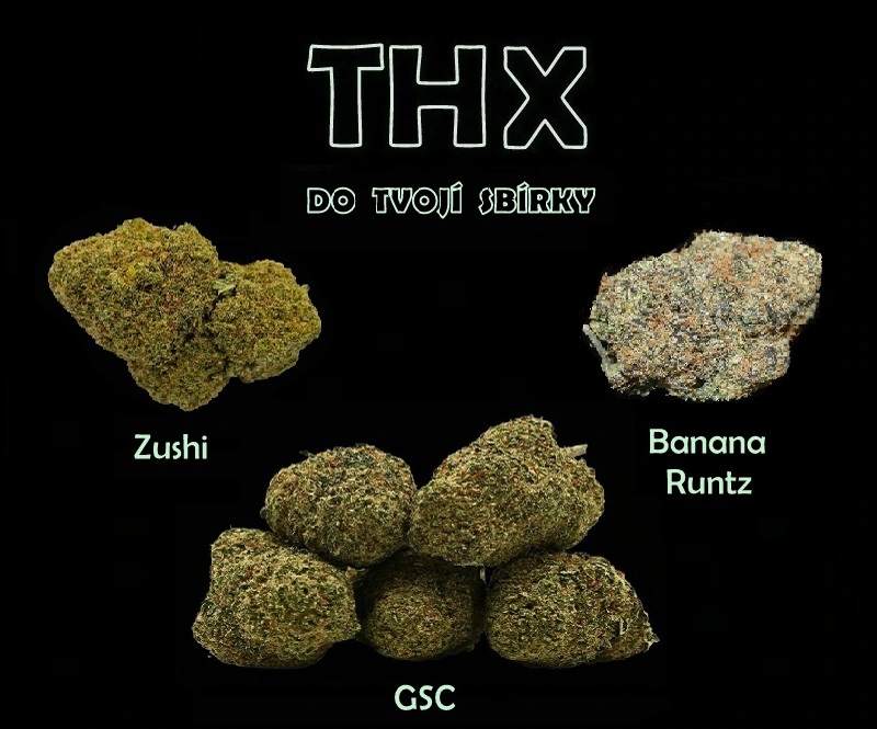 thc-x new květy mob