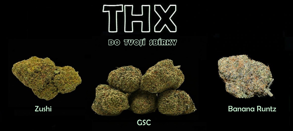 thc-x new květy pc