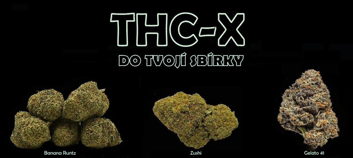 thc-x new květy pc