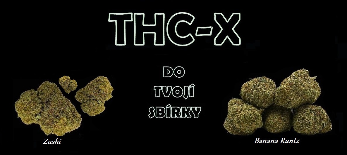 thc-x new květy pc
