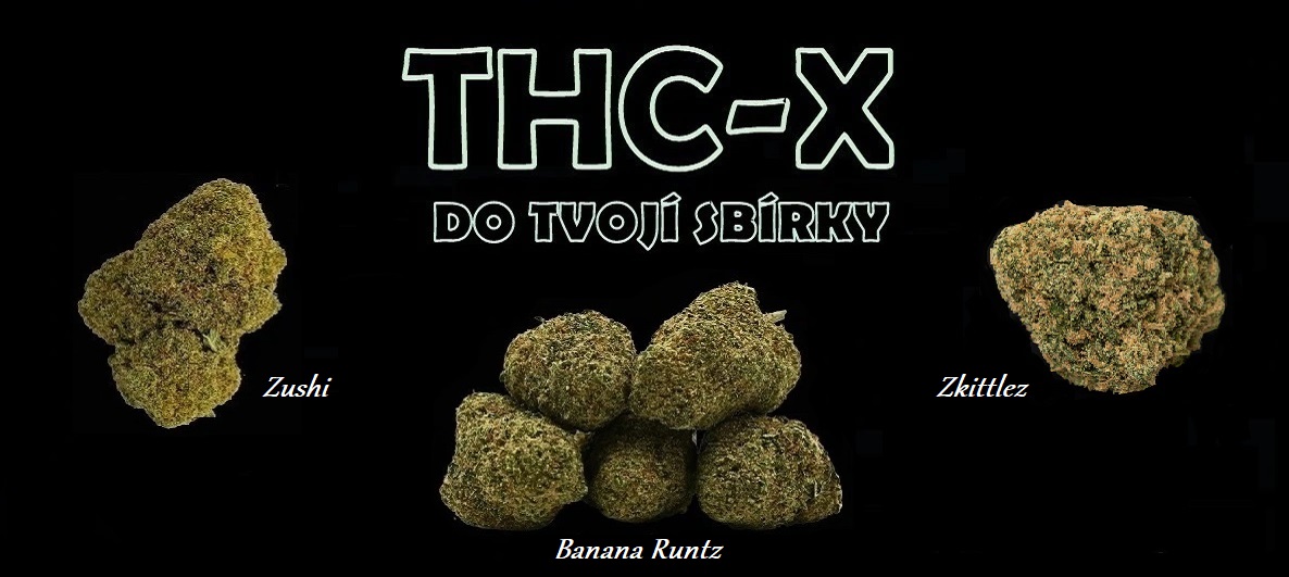 thc-x new květy pc