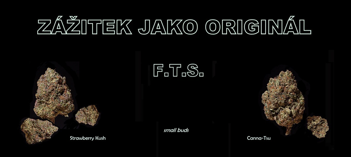 fts pc