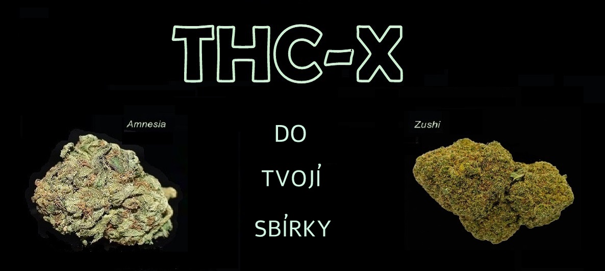 thc-x new květy pc
