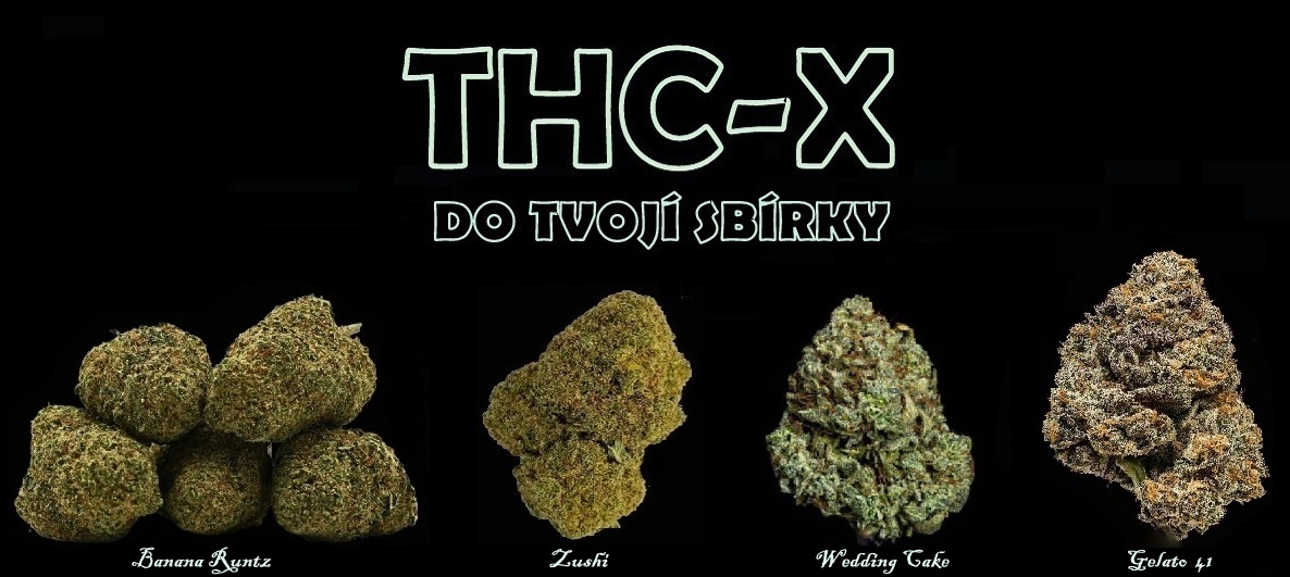 thc-x new květy pc