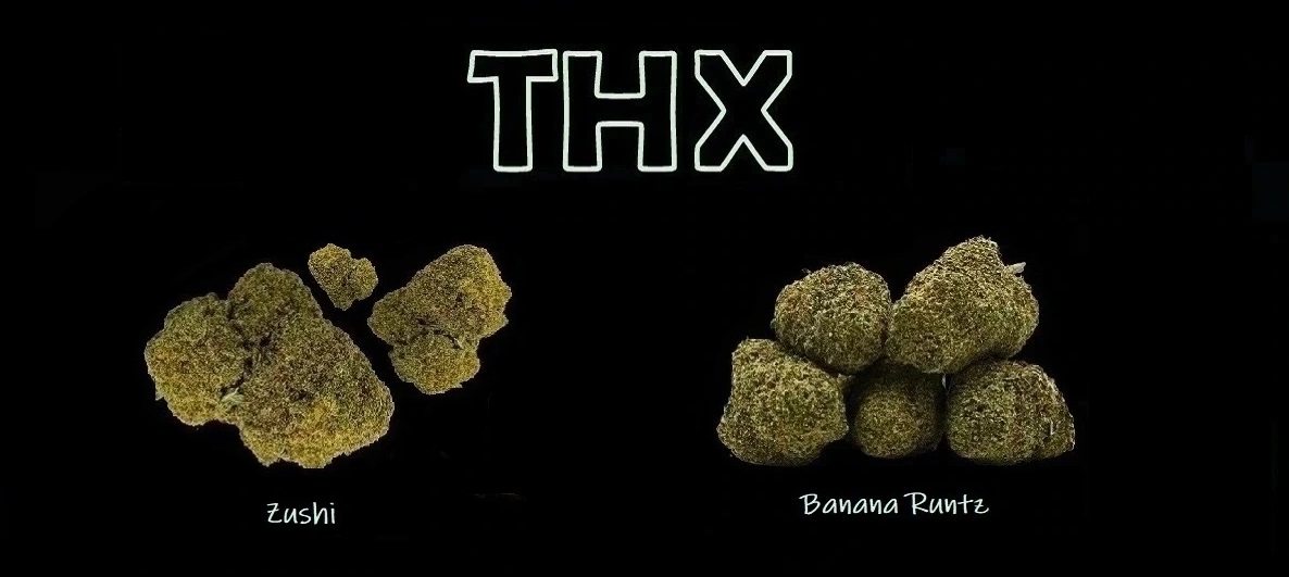 thc-x new květy pc
