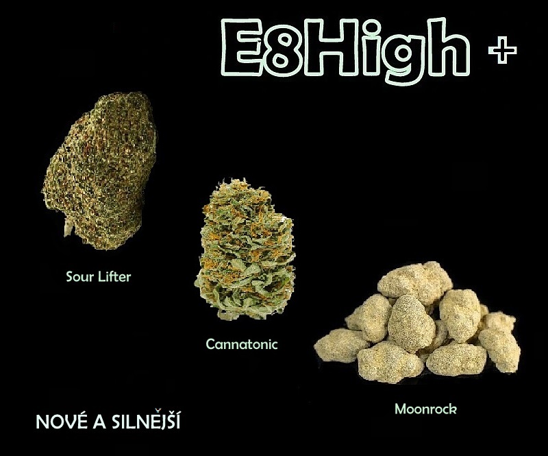 E8H new mob