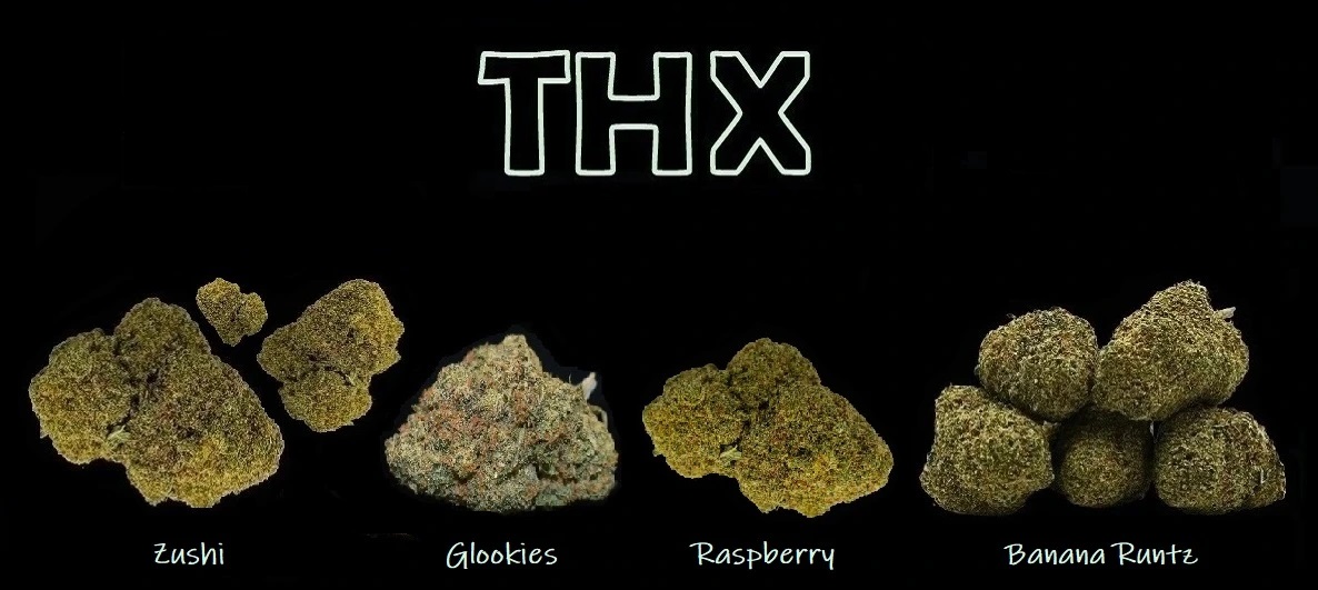 thc-x new květy pc