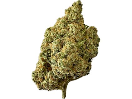 CITRUS