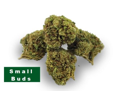 super skunk mini buds