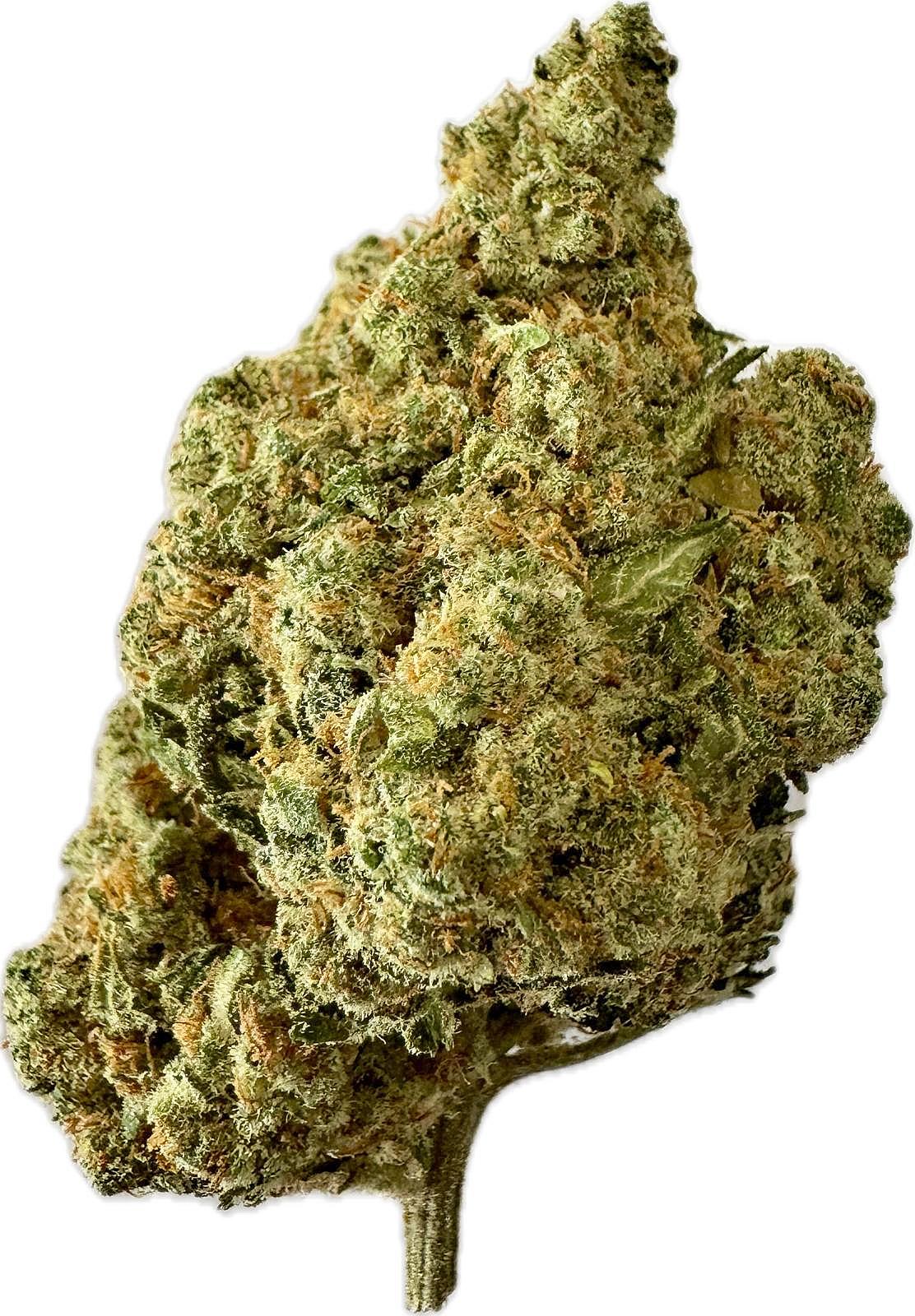 CBD No.1 Citrus Punch