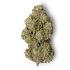 Mimosa 3