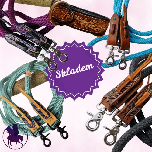 Hackamore
