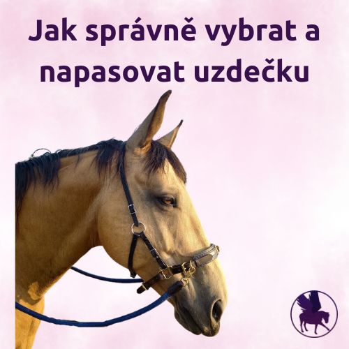 Pasování uzdeček