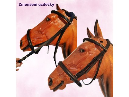 Copy of Hlava celkove (2000 × 2000 px)
