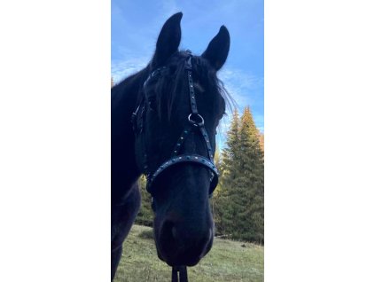 received 469221451971087