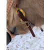 Hackamore ramena Edix Hack-Q® - půjčovna