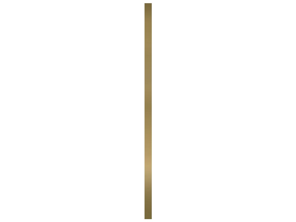 55903 55903 55903 162418 35211 listela univerzalni metal oro profil 60x2 1